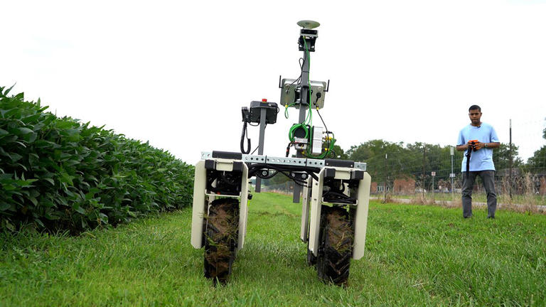 SIU’s new AI robot designed to protect soybeans from costly disease ...