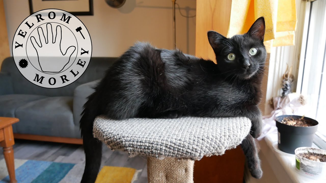 Building a scratching post / cat perch for our new kitten!