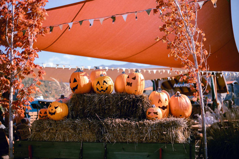List | Fall festivals, haunted attractions and family fun across the ...