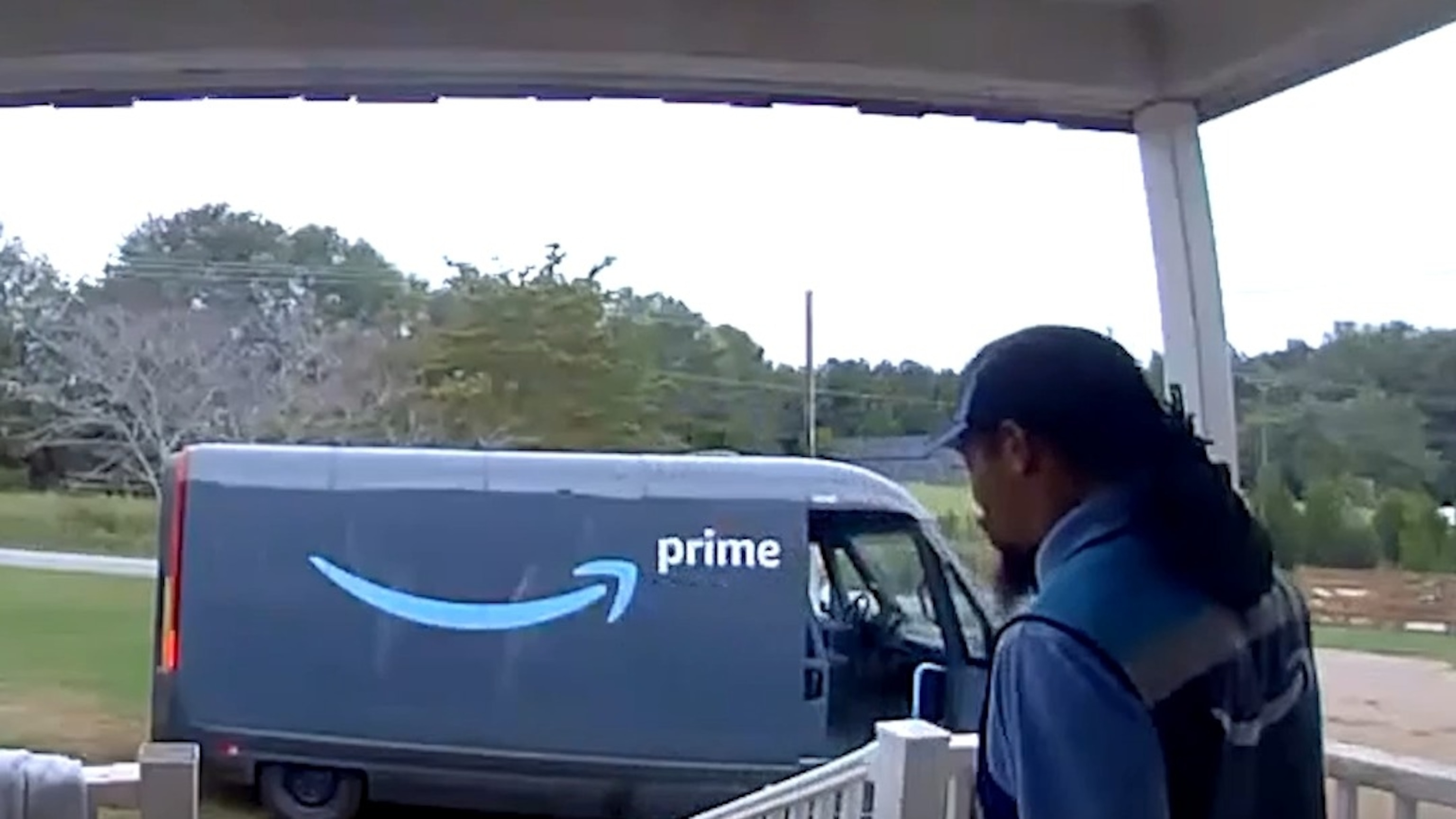Guard chickens force Amazon driver to leap over railing