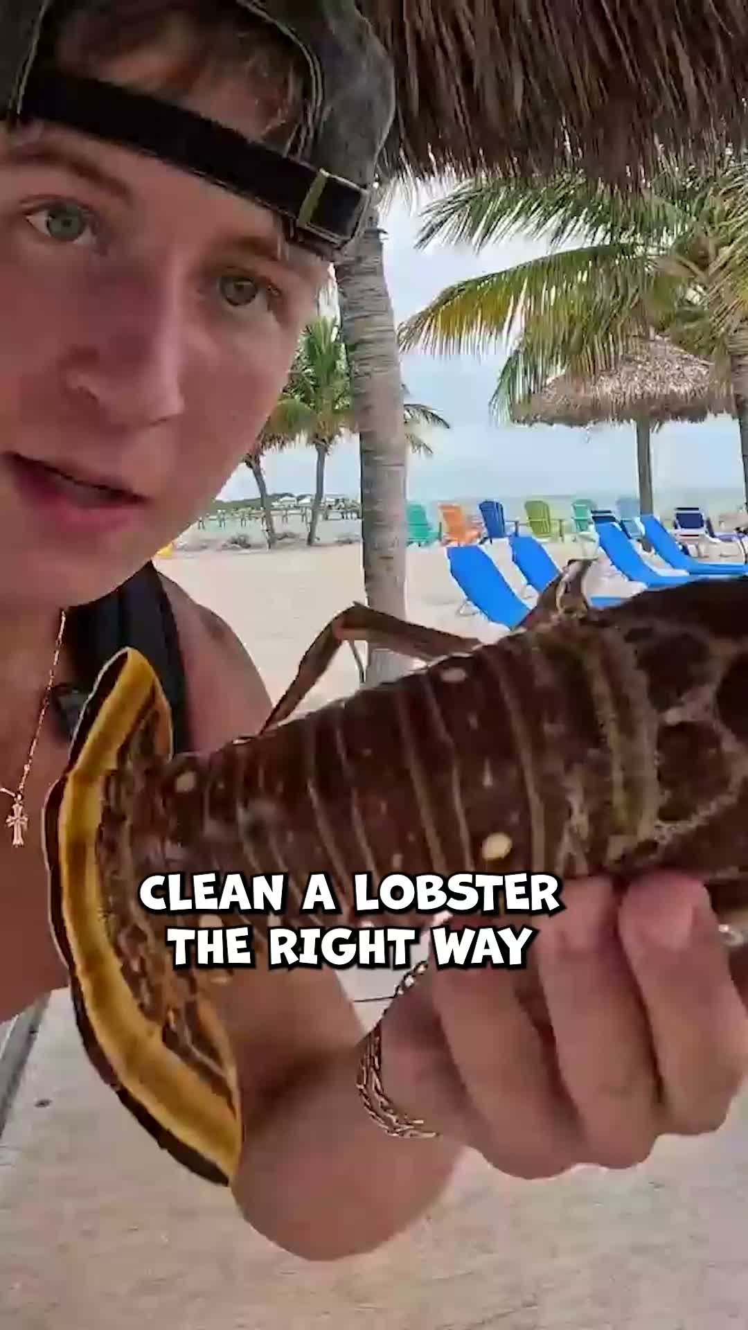 Mahi offshore, lobster dive, snorkel 🐠🦞