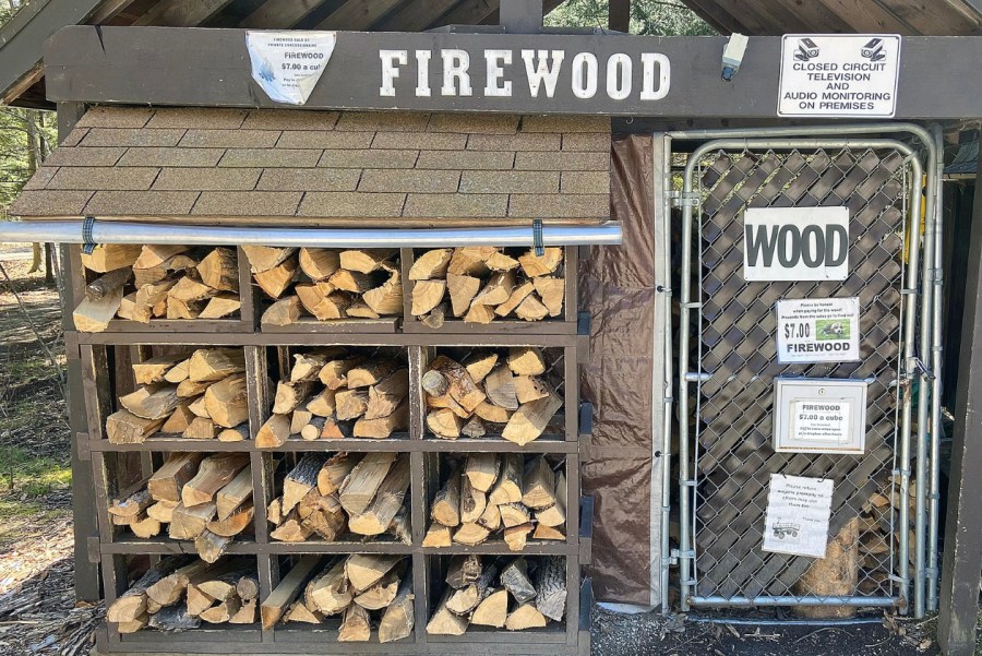 DNR urges the public to source local firewood this fall