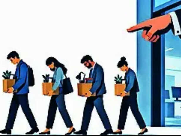 Oracle job cuts shock cloud unit: Why are middle managers and workers ...