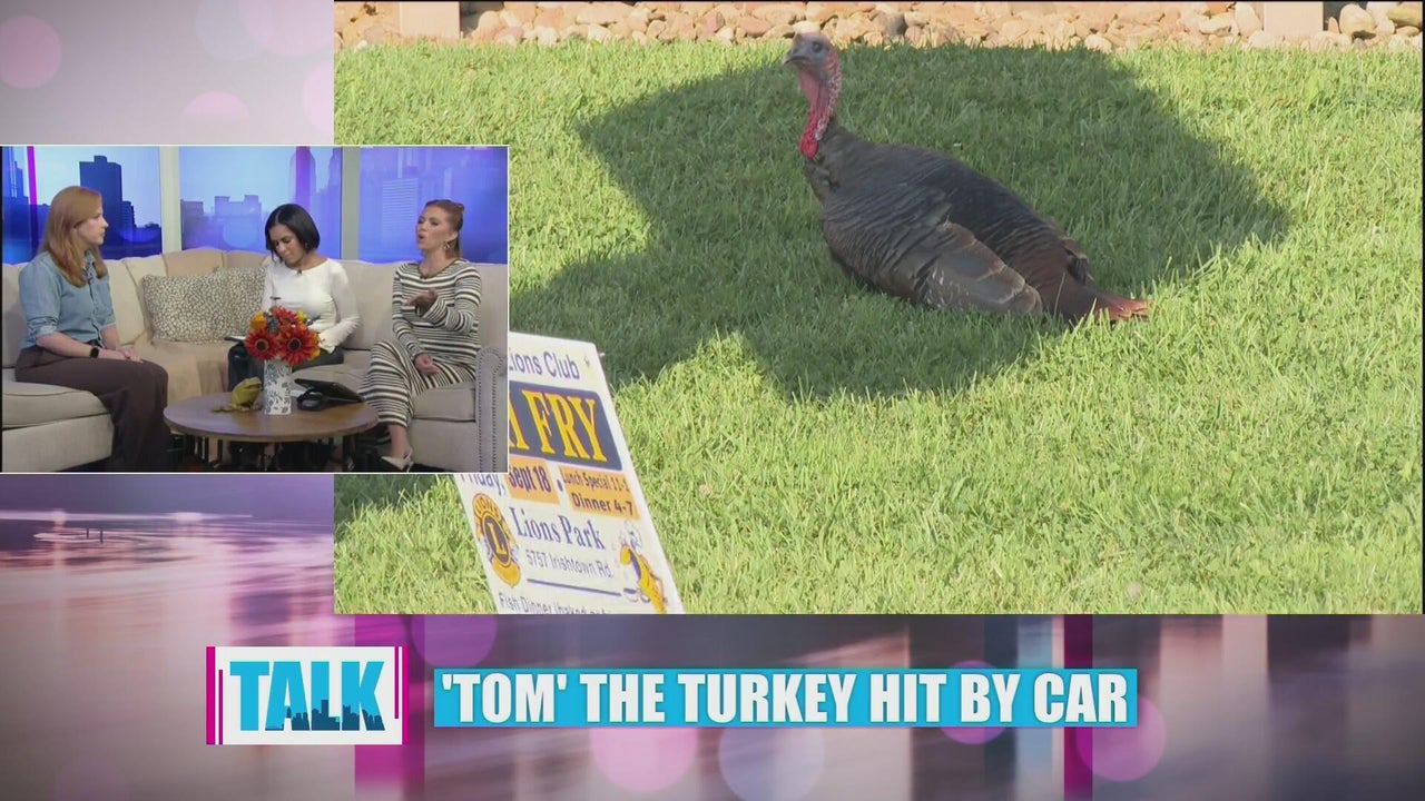 Tom the Turkey and more KDKA Investigates stories