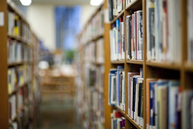 Hillsborough County schools called out in FDOE letter about ...
