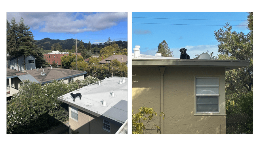 https://img-s-msn-com.akamaized.net/tenant/amp/entityid/AA2cVPQj.img?w=768&h=432&m=4&q=100