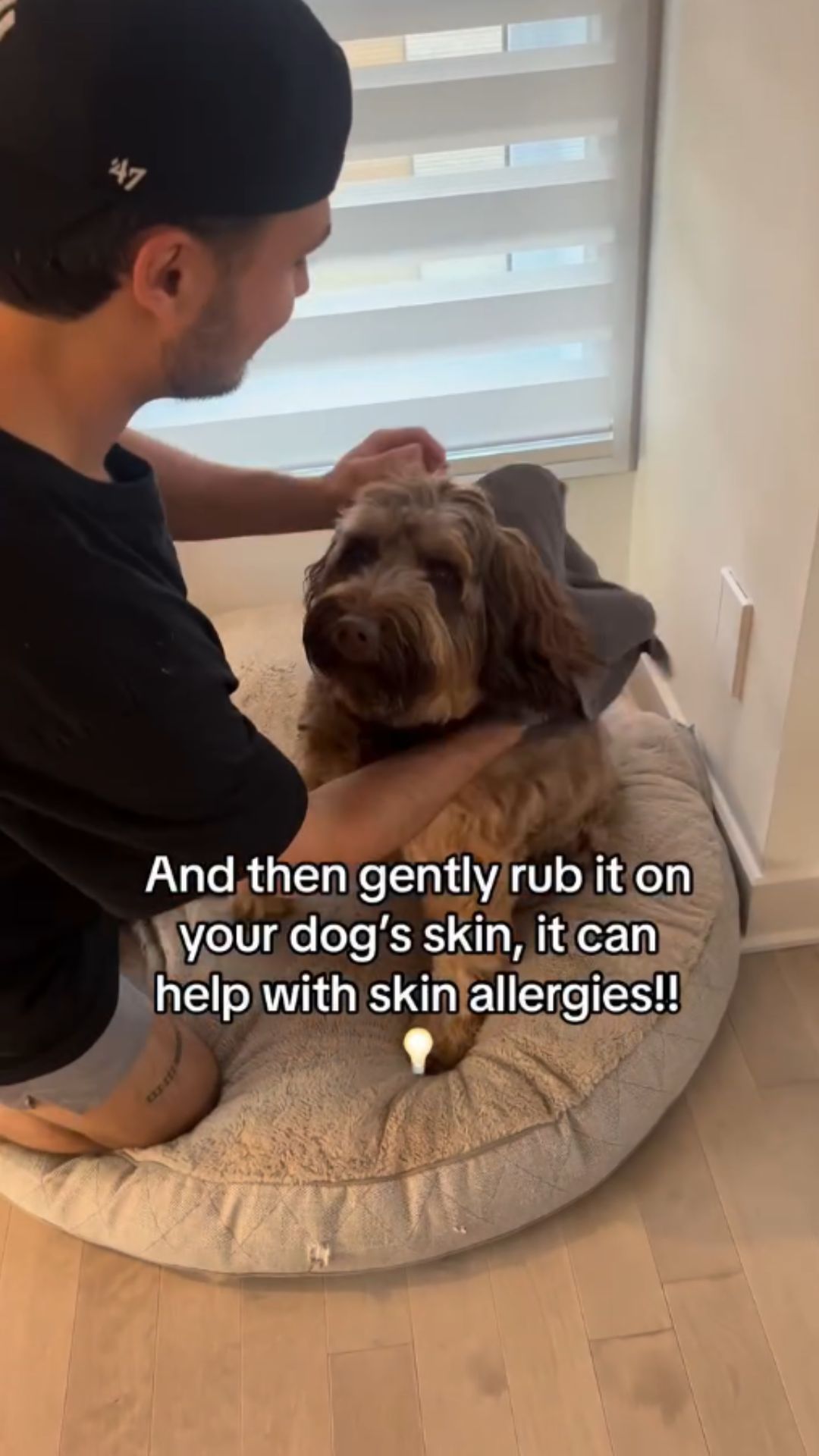 What dog owners should know about green tea and itchy skin