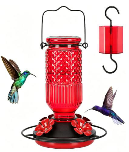 Hummingbirds are on the move – this new migration map shows when they ...