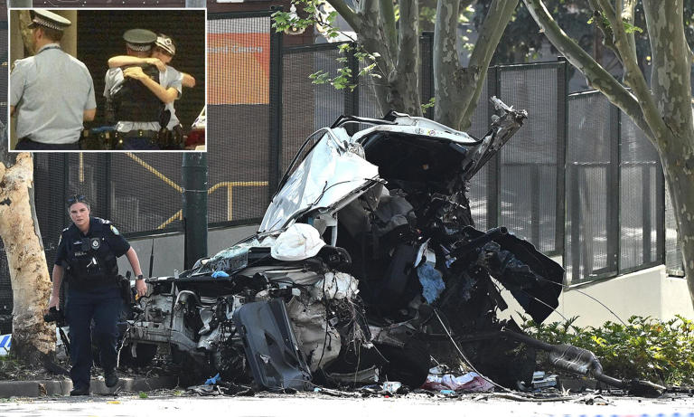 Young female cop, 20, identified as officer killed in crash after ...
