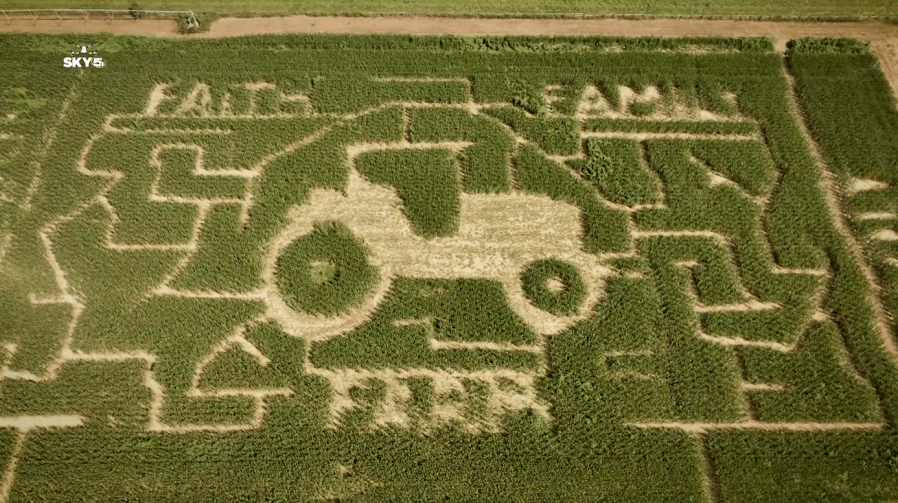 McKenzie Farms corn maze in Fairhope is open, tribute to farmer in ...