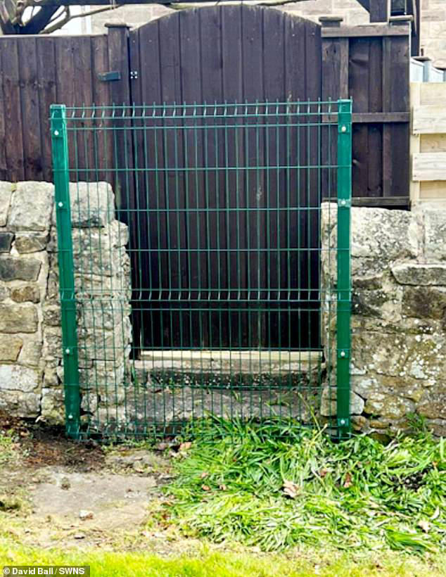 Retired teacher's three-year legal hell after council blocked garden gate