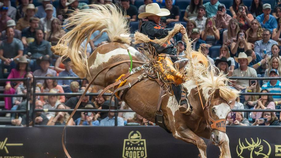 Governor’s Cup set to burst 2026 saddle bronc riding NFR bubble