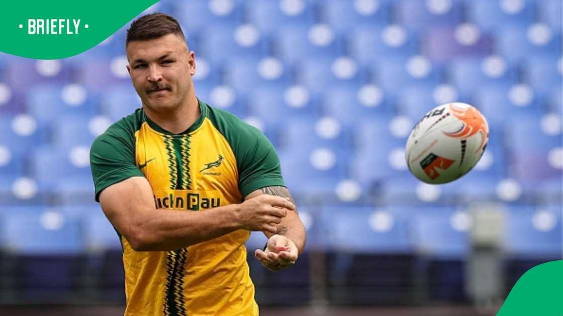 Rassie Erasmus finally addresses the Springboks’ mysterious bald squad bet