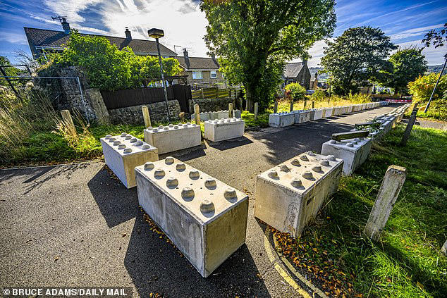 Retired teacher's three-year legal hell after council blocked garden gate