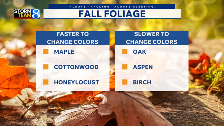 Fall foliage forecast: Sep. 24, 2026