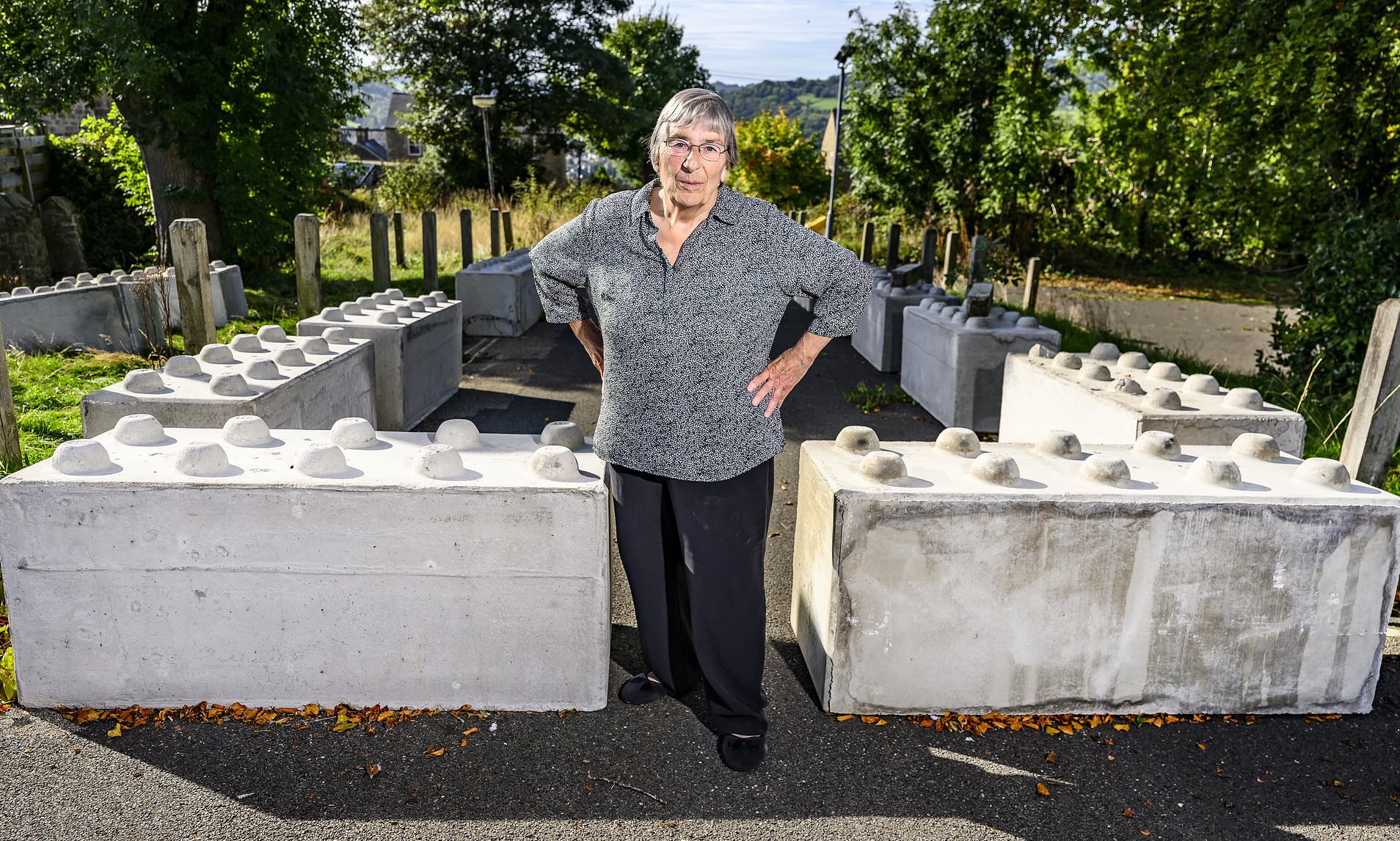 Retired teacher's three-year legal hell after council blocked garden gate