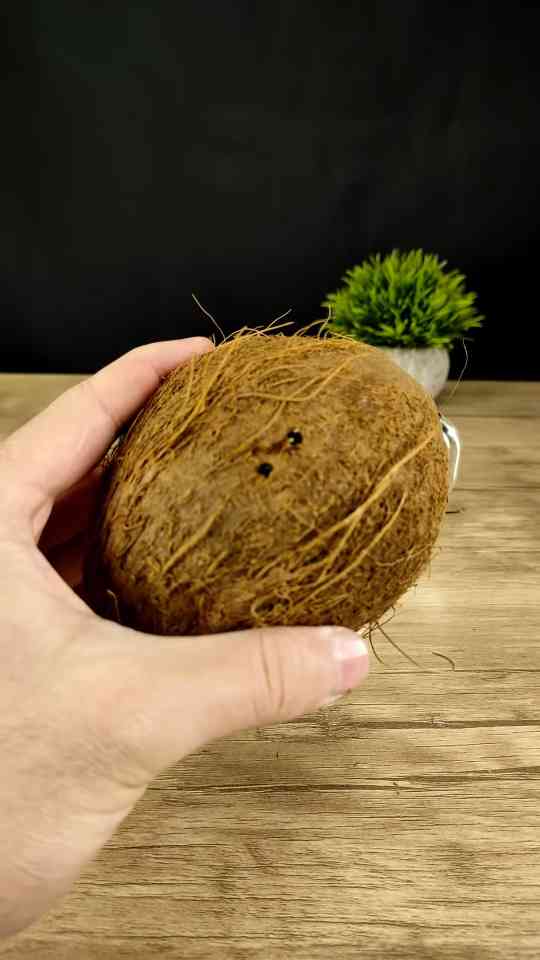 3D printed mini drill tested against a coconut