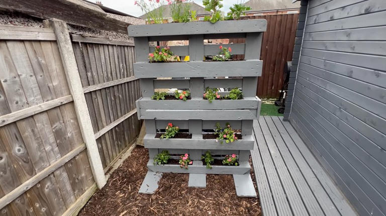 How to reuse old pallets to add rustic privacy to your home on a budget