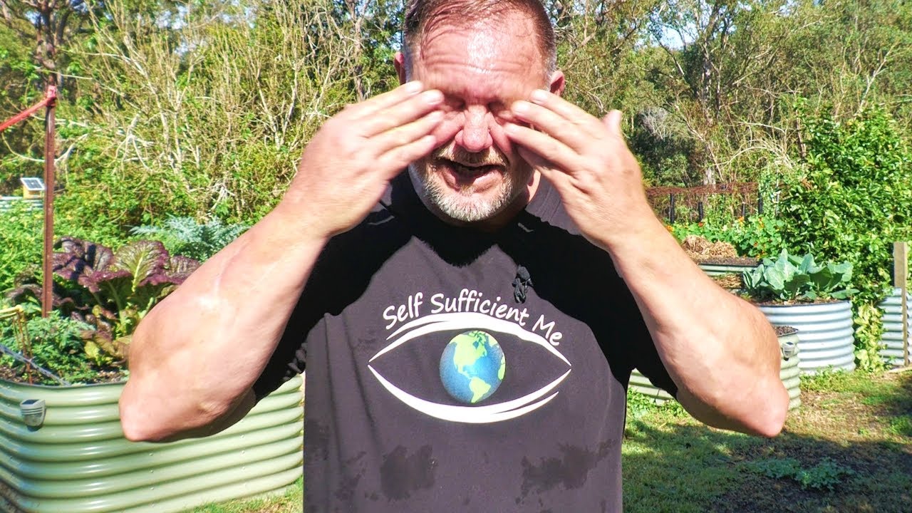 Big updates & my European holiday: What’s next for Self Sufficient Me?