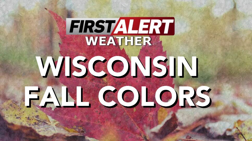 Weather extra: Drought likely to impact fall foliage vibrancy across ...