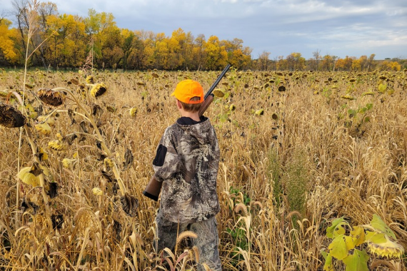 NDGF hosting two-day youth pheasant weekend