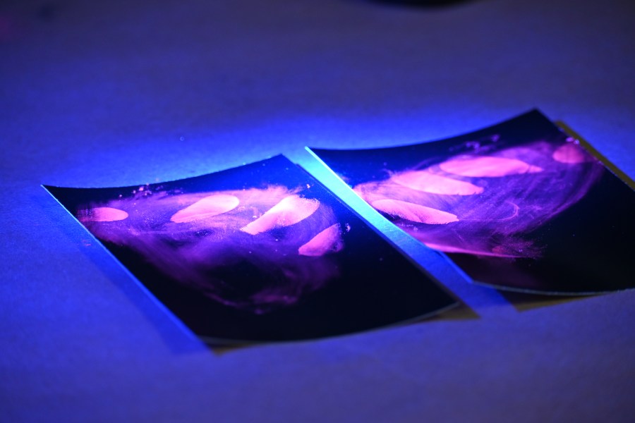 National Forensic Science Week brings attention to CSI investigators