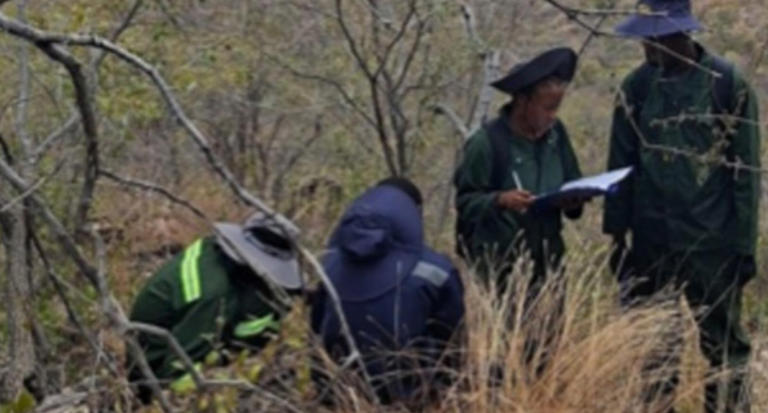 Talonx Resources has boots on the ground with fieldwork underway at ...