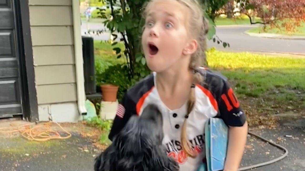 Ex-bomb dog Finn meets forever family for first time | Happily