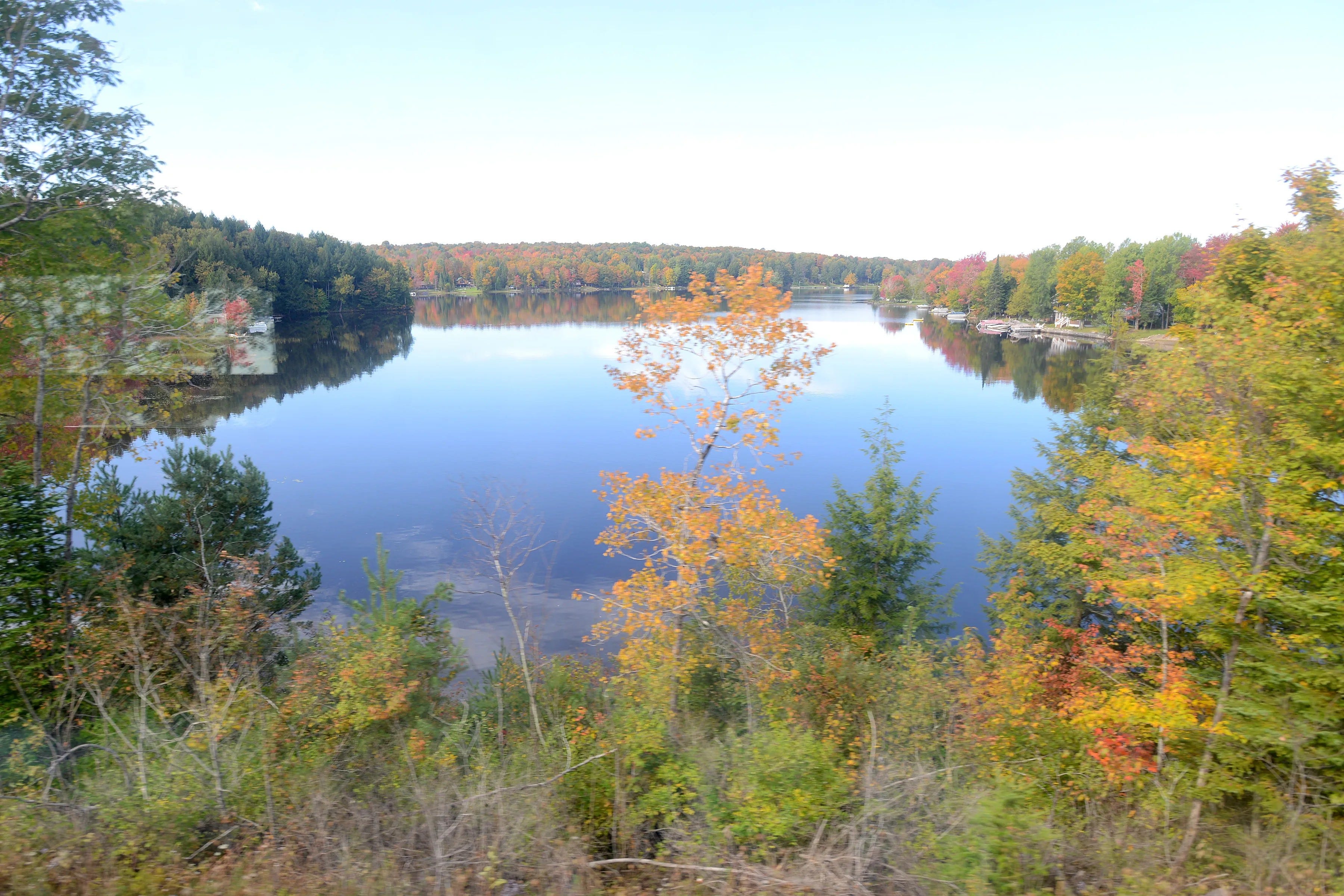 Best fall foliage train rides in New York: 5 scenic routes to try