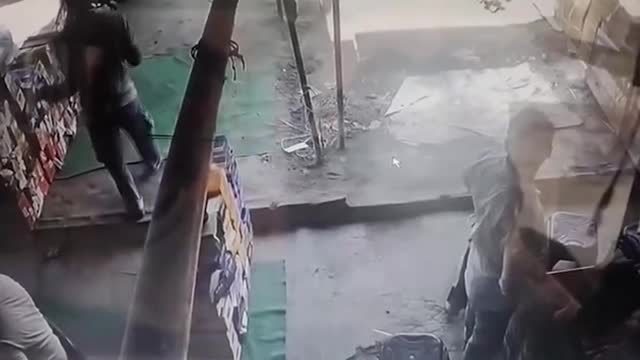 Pair of fighting bulls crash into mobile phone shop in India