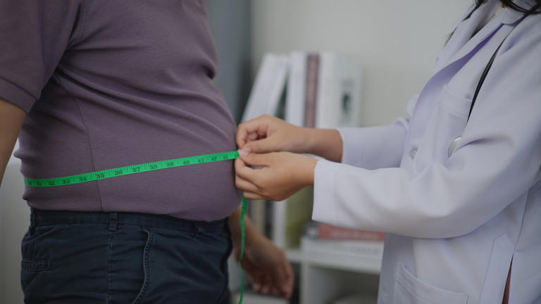 New belly fat injection cuts dangerous fat surrounding organs by 12% in ...