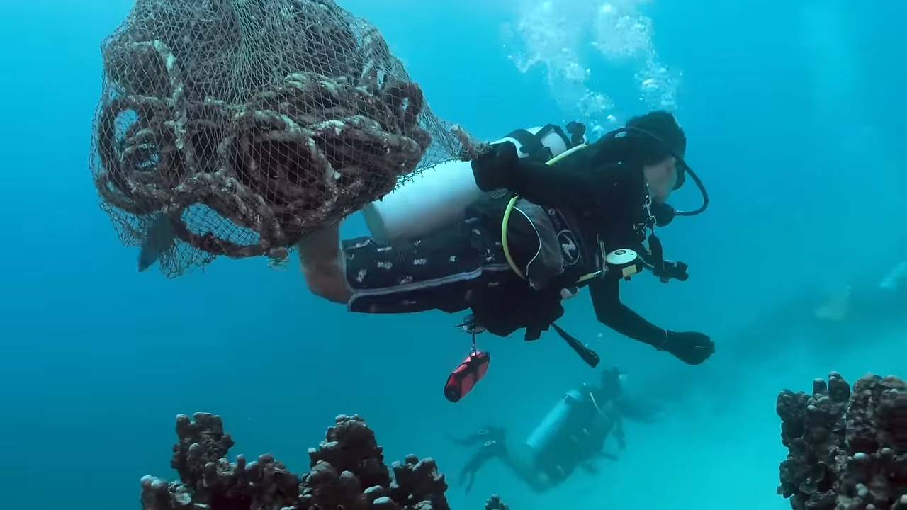What lives in ocean garbage patches – and it's not what you expect