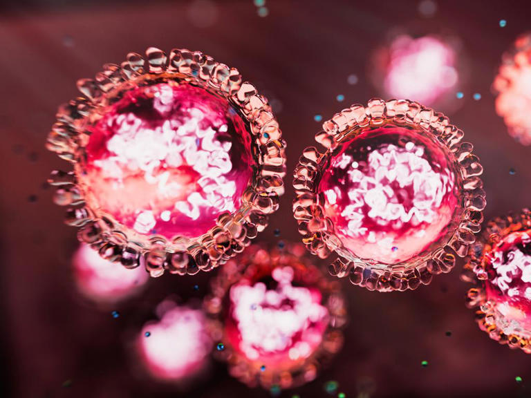 Virus warning as outbreak widens