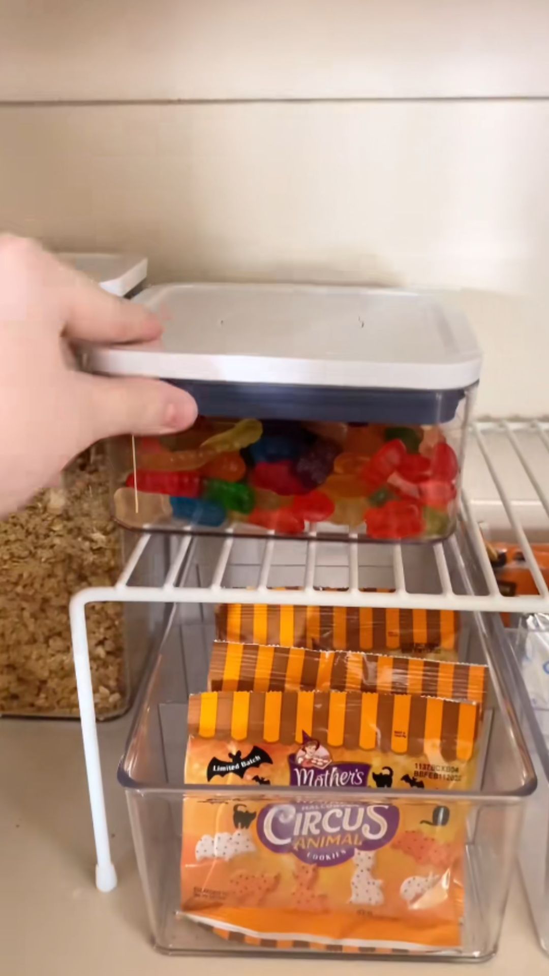 Satisfying home restock and refill organization ideas