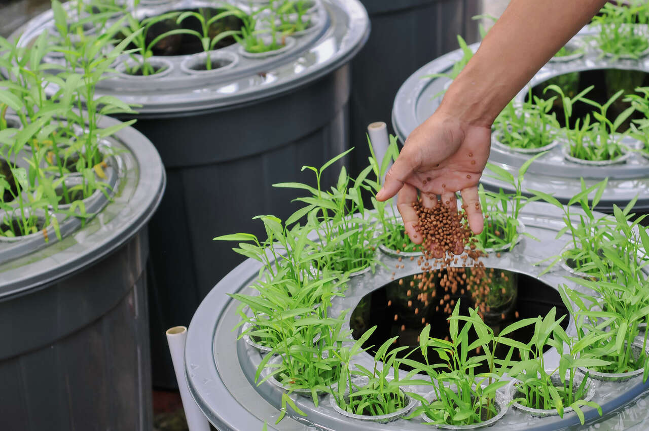 Brown County High School wins grant to help install aquaponics system