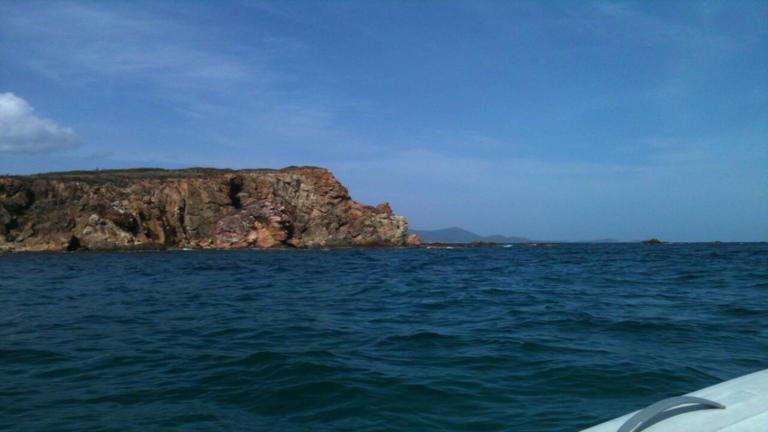 Rat eradication boosts wildlife: Conservationists clear Dog Island rats ...