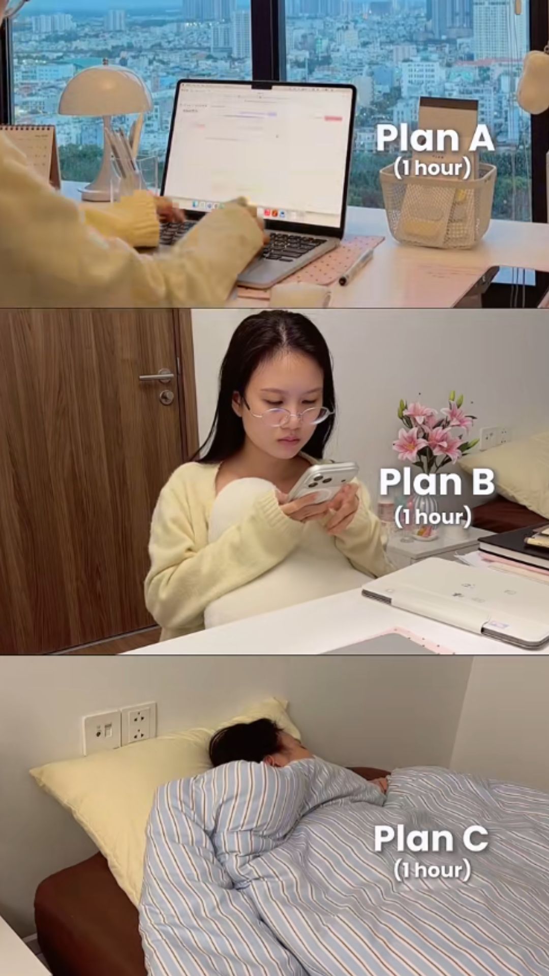 Choosing between three study plans for maximum productivity