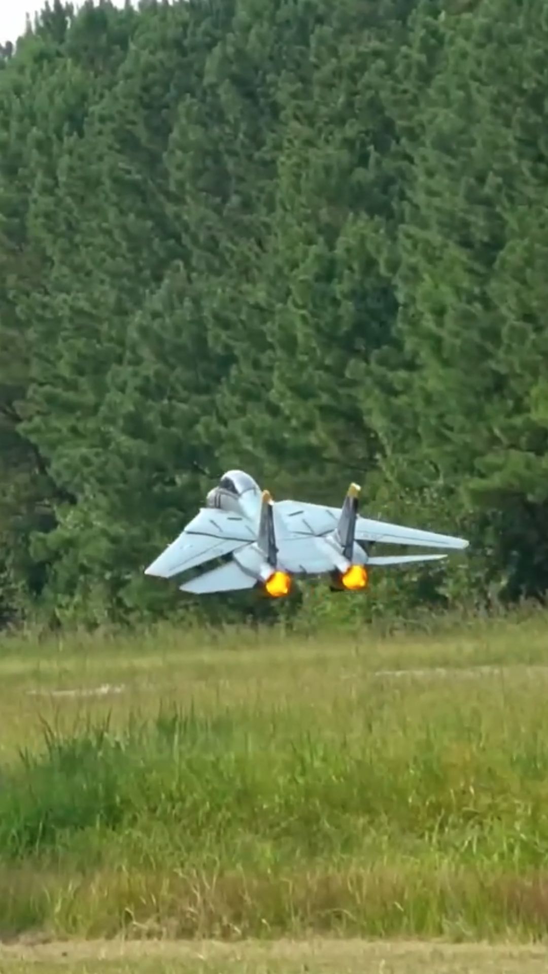 F-14D Super Tomcat high alpha pass shows precise control