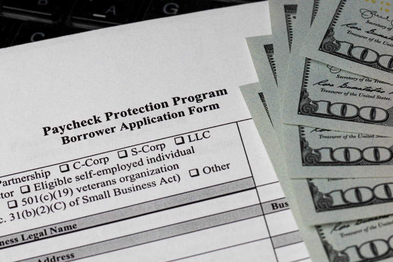 Tax preparer sentenced to prison in $400K PPP loan fraud scheme, US ...