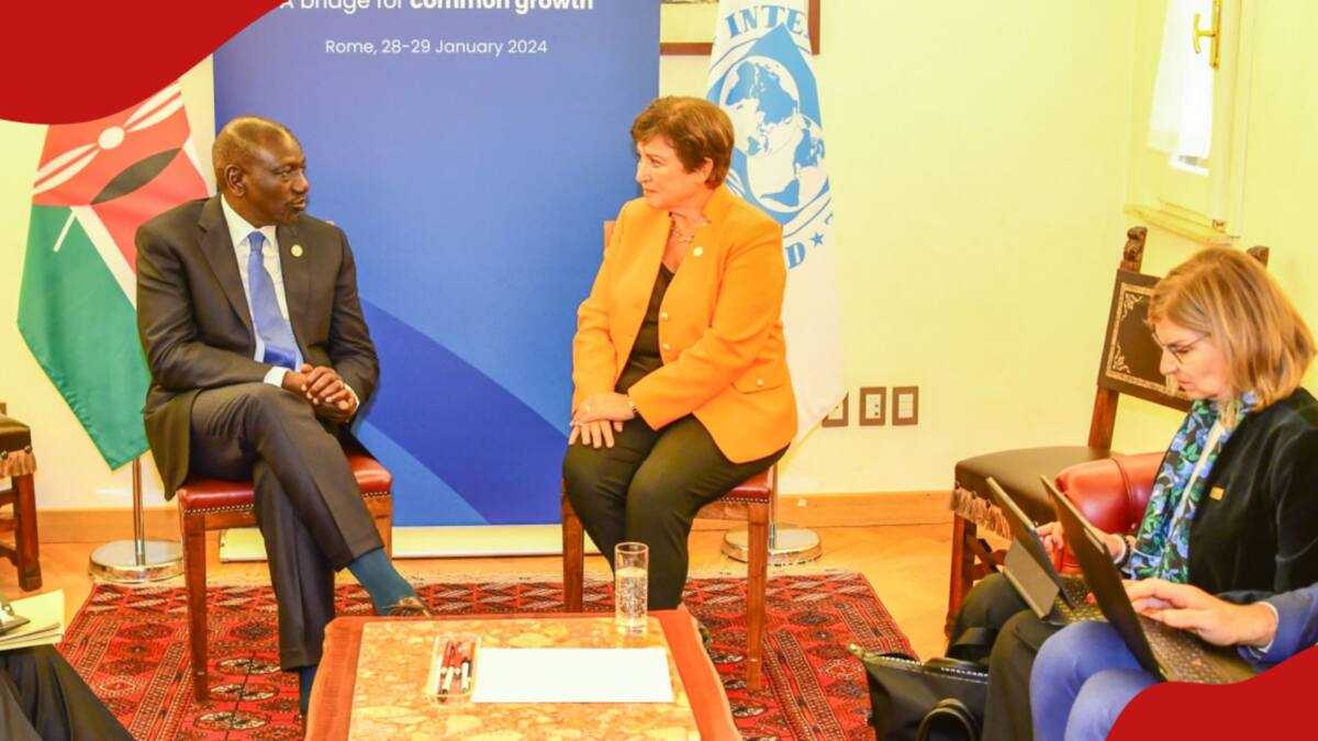 IMF and World Bank unveil new loan rules for Kenya, low-income African ...