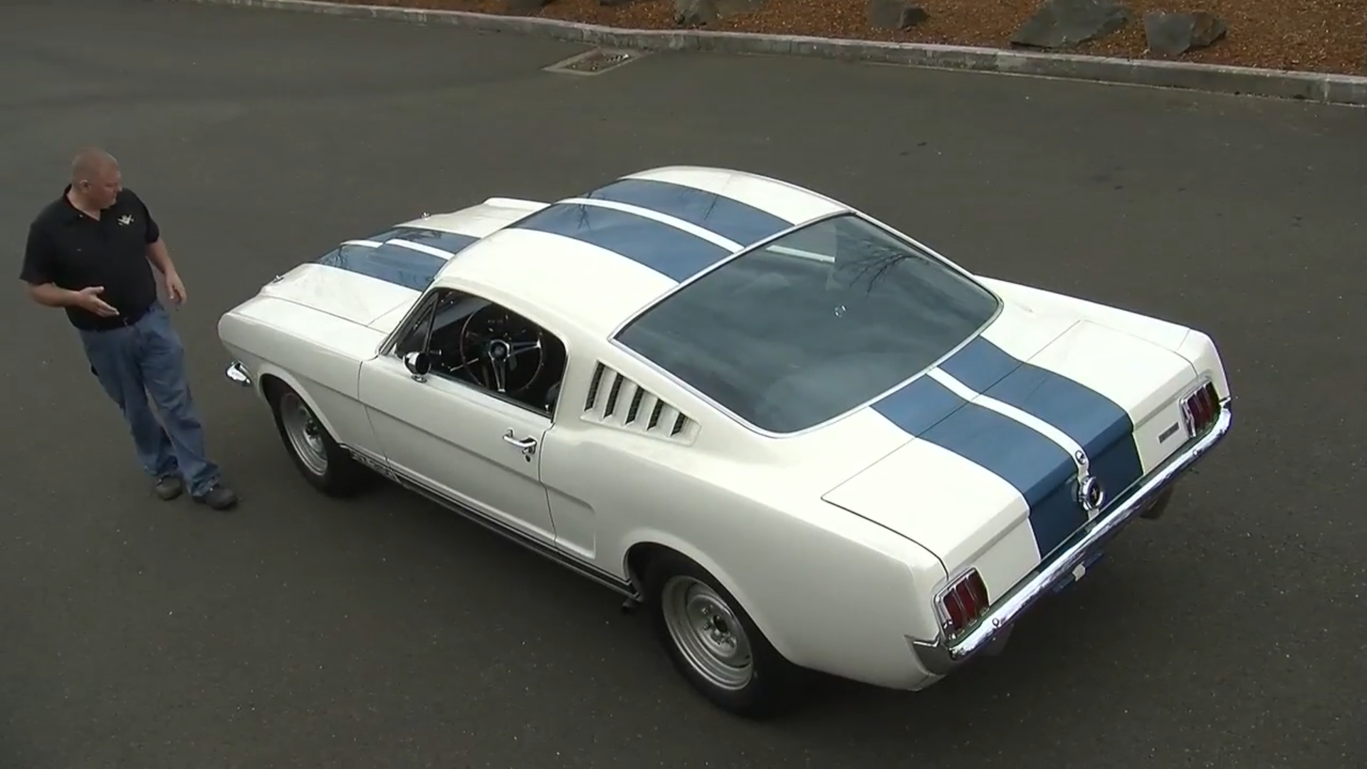The rare gold level thoroughbred Shelby GT350 muscle car
