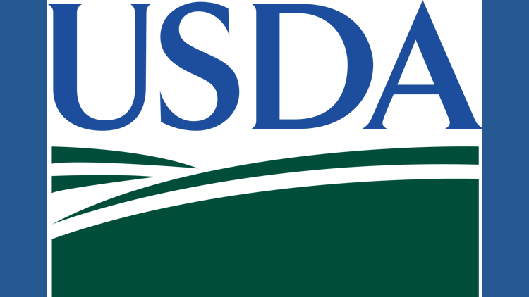 More than 160,000 pounds of raw meat recalled over fake USDA labels