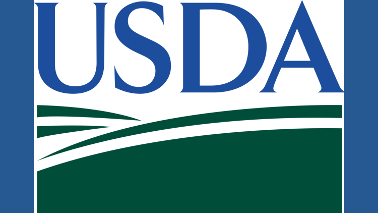 More than 160,000 pounds of raw meat recalled over fake USDA labels