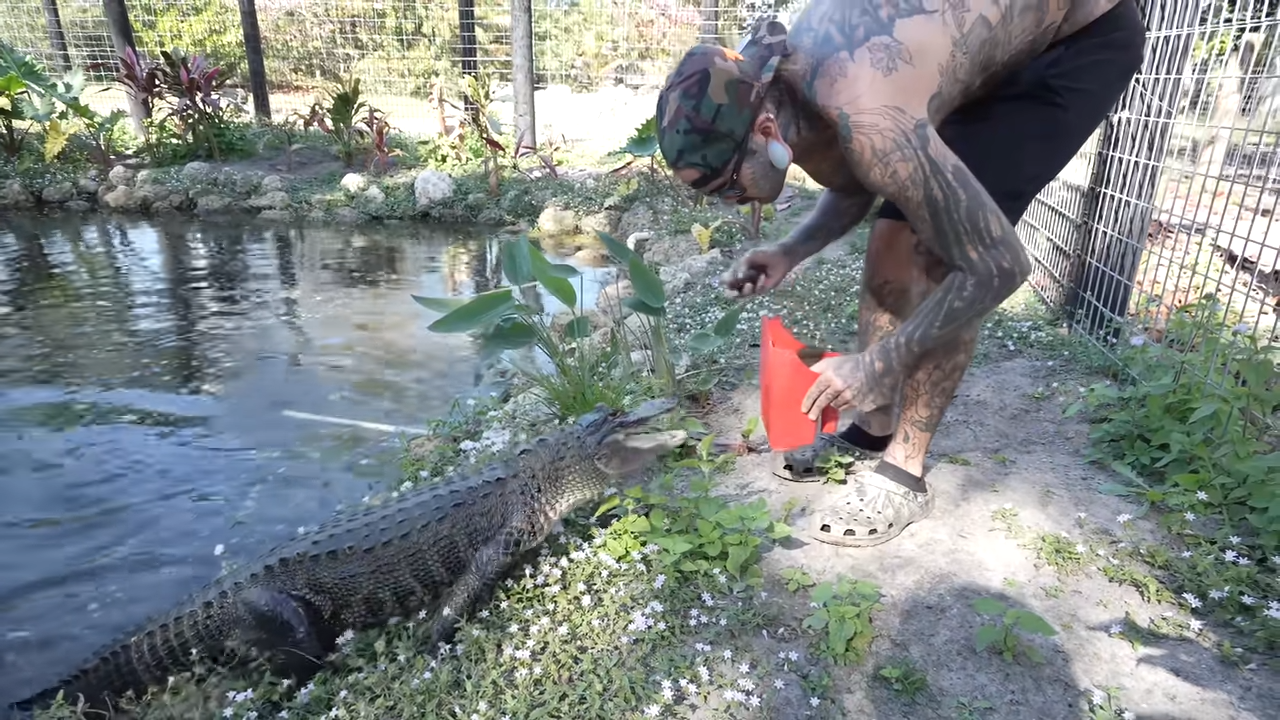 Could he move every giant lizard without getting bitten or covered in a ...