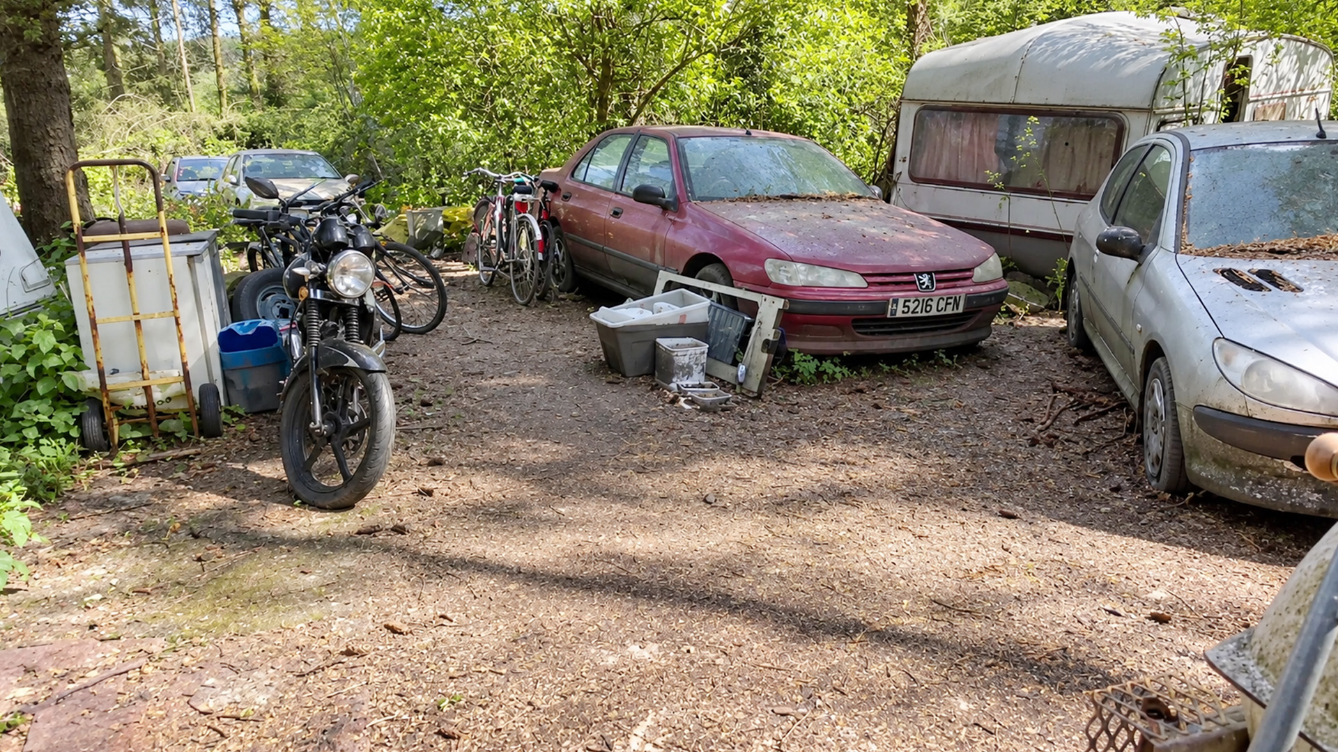 Decades of collecting cars have created this remarkable forest collection