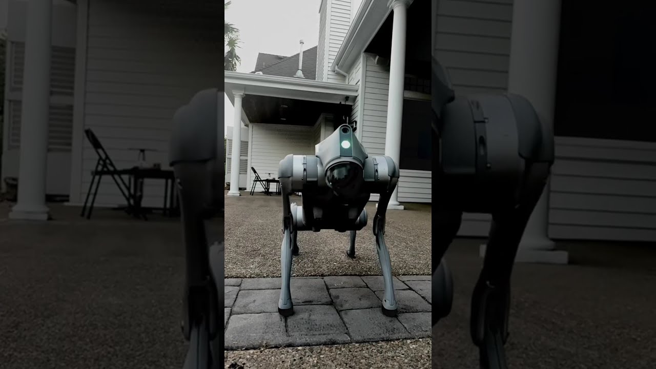 See what happens when robot animals attack