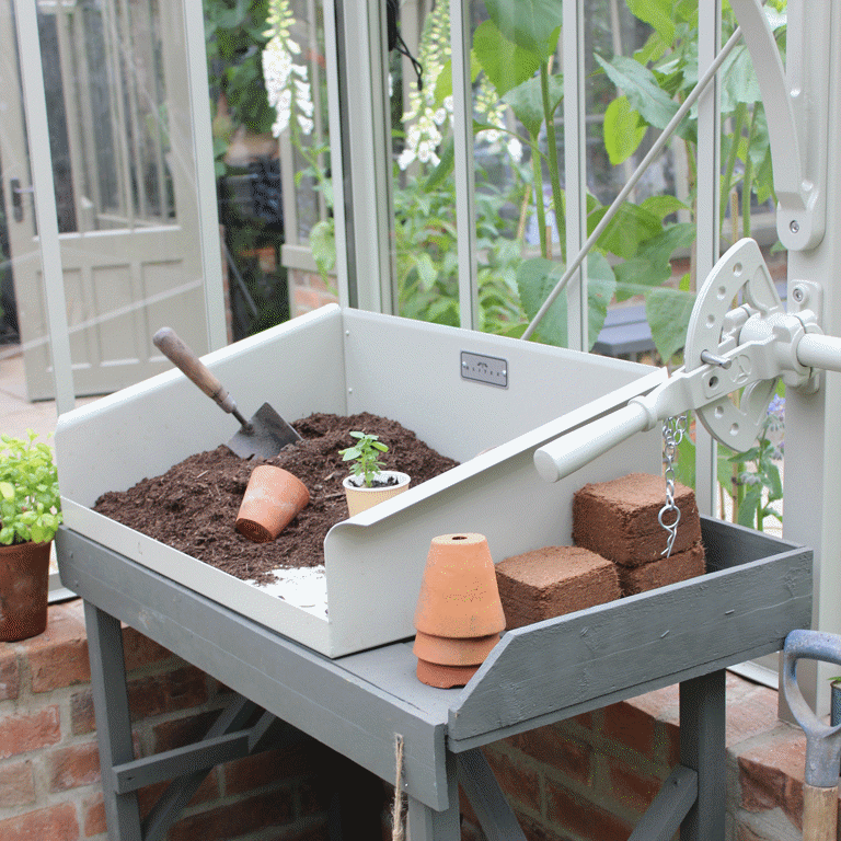 When to plant bulbs for spring – this planting window guarantees ...