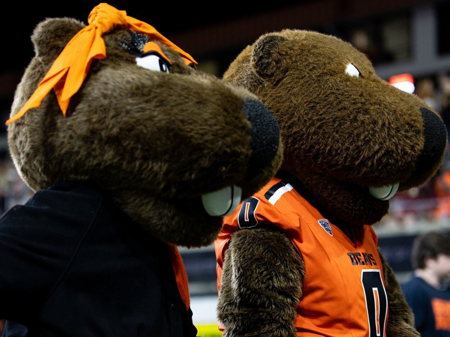 Oregon State is turning Portland’s living room into the ultimate Beaver ...