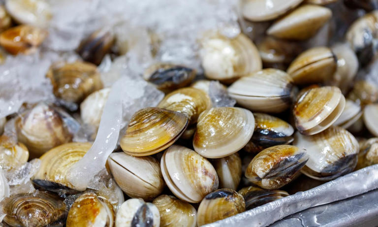 Outbreak of life-threatening liver disease sparked in connection to ...