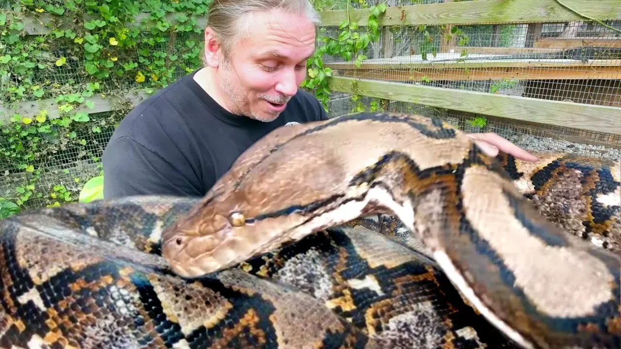 Handling a dangerous animal requires extra caution to avoid a bite